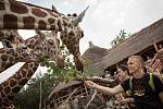 Nový rekord zaznamenala v pátek po obědě brněnská zoologická zahrada. Tamními turnikety totiž prošel už sedmnáctimiliontý návštěvník. 