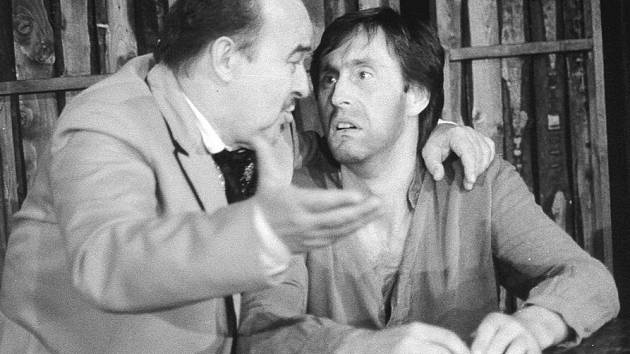 Herec Aleš Jarý si zahrál v inscenaci Revizora s Jiřím Tomkem v roce 1988 v Divadle bratří Mrštíků v režii Stanislava Moše. 