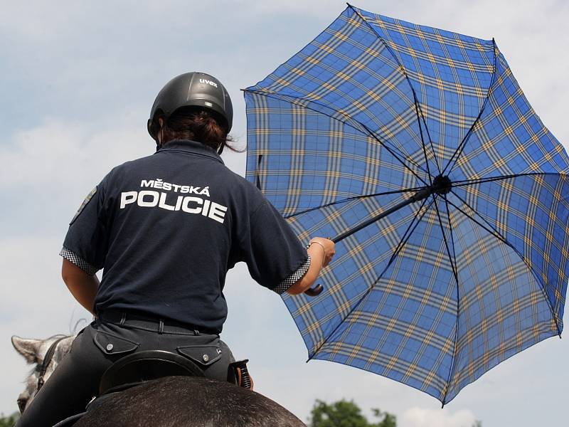 Přehlídku jezdeckých policistů z celé České republiky viděli v sobotu návštěvníci na Mezinárodním policejním mistrovství v jezdectví. V jezdeckém areálu Panská Lícha v brněnské Lesné si zasoutěžili ve skokovém derby nebo třeba policejním parkuru.