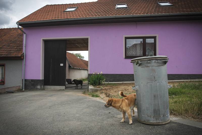 Oproti nedalekému Litostrovu, kde se minulý týden opakovaly obecní volby, protože místní kvůli hádkám nezvládli sestavit zastupitelstvo, v Rudce panuje téměř nevinná atmosféra.