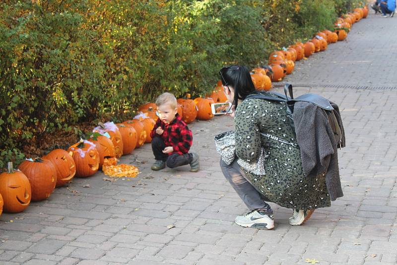 Foto z loňského ročníku oblíbené halloweenské akce v brněnské zoo. Letos mohou lidé sledovat přímý přenos na facebooku i instagramu.