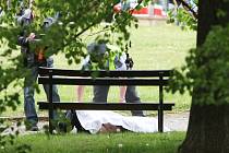 Mrtvého muže našli brněnští policisté v parku na Kraví hoře.