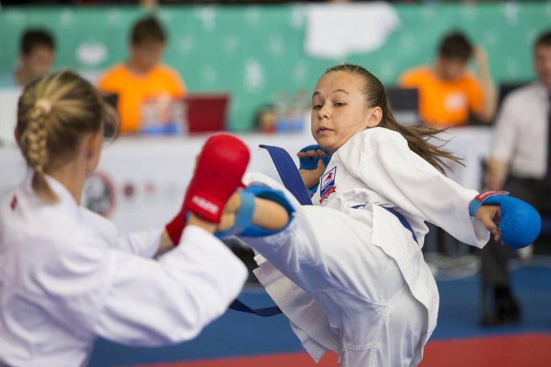 Olympiáda dětí a mládeže v hale Tesla - karate.