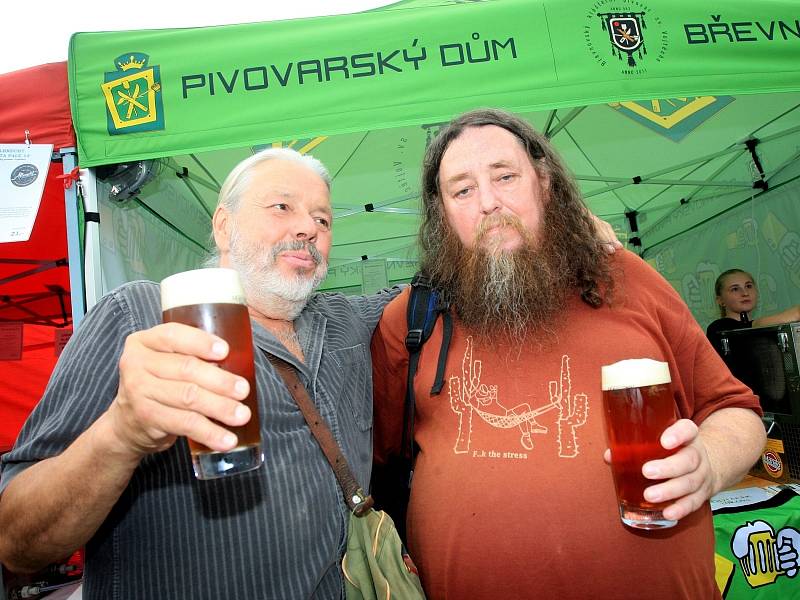 Od pátečního dopoledne mají Brňané díky pivnímu festivalu na Zelném trhu možnost ochutnat pivo z dvanácti českých pivovarů, okoštovat moravské víno nebo vyzkoušet maso z brněnské mikrofarmy. 