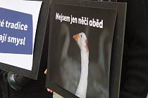 Brněnští aktivisté za práva zvířat upozorňují v sobotu na kruté zacházení s husami.
