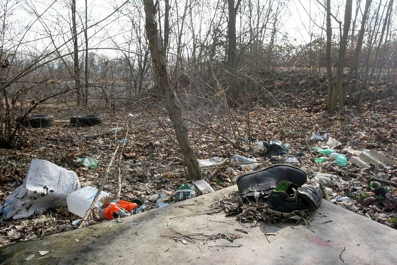 Poházené plastové lahve a plechovky v parcích, černé skládky v lese nebo krabice od vína u řeky. Nepořádek, který hyzdí veřejný prostor, se 8. dubna už počtvrté vydají Brňané uklidit. Startuje akce s názvem Ukliďme Česko.