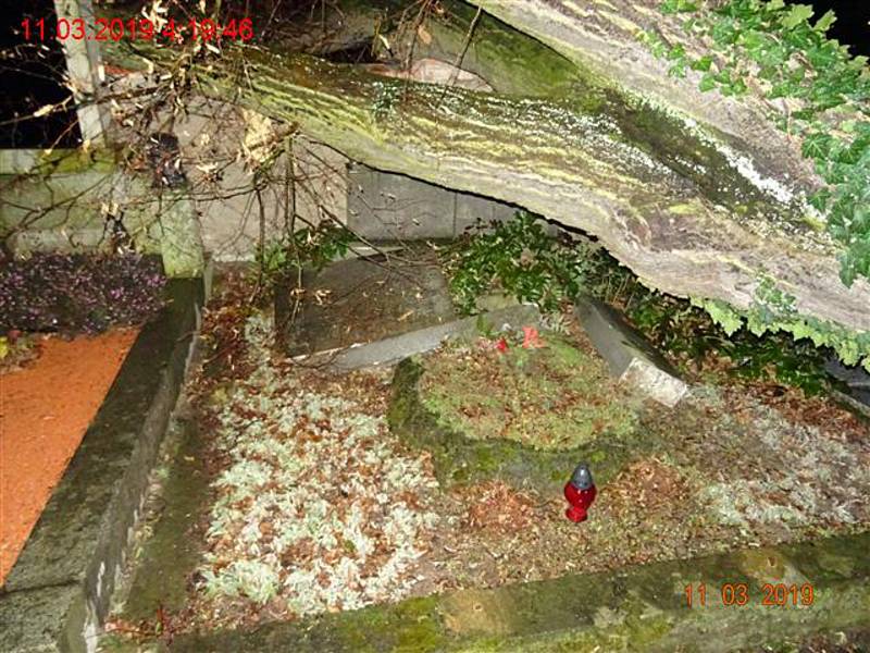 Vyvrácený strom na hřbitově v brněnské Myslínově ulici poničil několik hrobů.