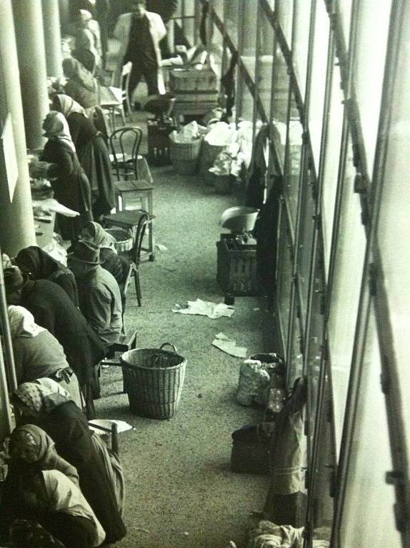 Tržnice na Zelném trhu v 50. letech 20. století.