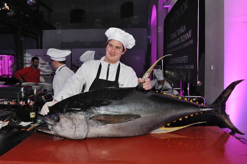 Od tuňáka přes plody moře až po vyzrálé hovězí maso připravovali kuchaři přímo před očima hostů. Ples jako Brno 2016.