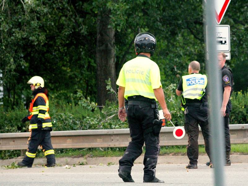 Na několik minut zablokovala ulomená větev Bystrckou ulici v brněnském Komíně.