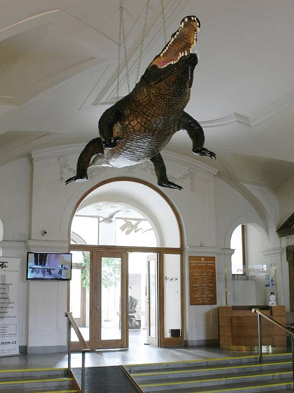 Symbol Brna drak se přestěhoval ze Staré radnice do Dietrichsteinského paláce.