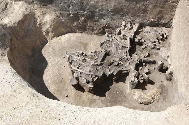 Stovky keramických úlomků a desítky hrobů se zatím podařilo odhalit archeologům na poli poblíž Modřic na Brněnsku. 