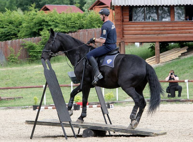 Především rodiny s dětmi přilákalo v sobotu na brněnskou Panskou Líchu Mezinárodní Policejní mistrovství České republiky v jezdectví. Soutěžící se utkali ve třech disciplínách.