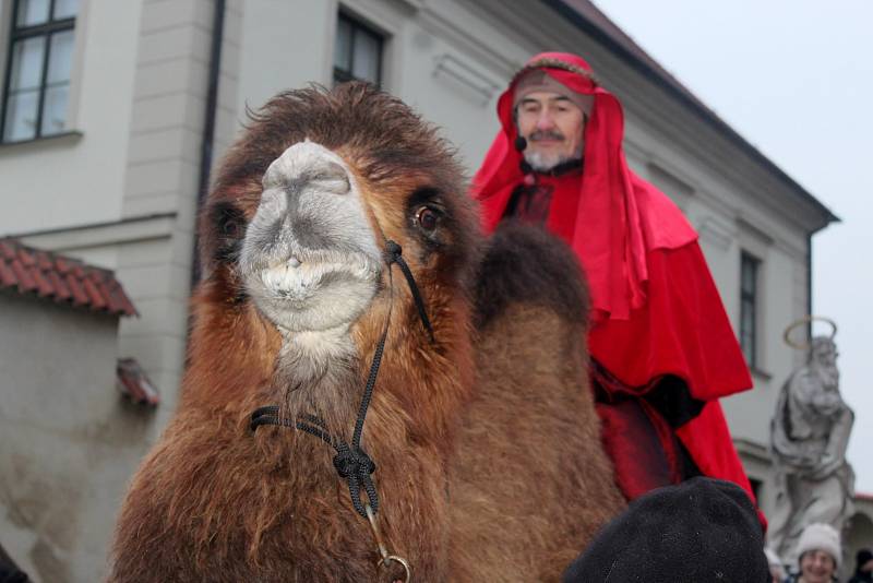 První koledníci se vydají se zapečetěnými kasičkami do ulic v sobotu prvního ledna.