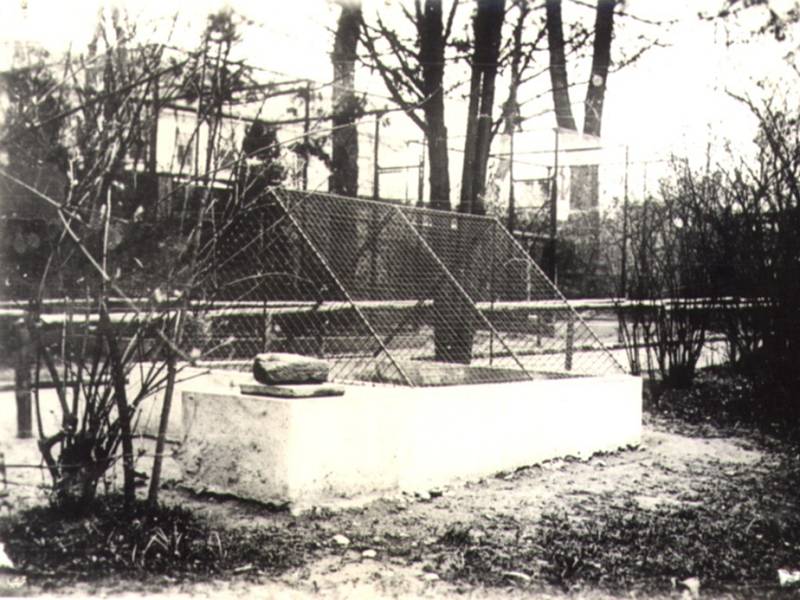 Zookoutek v Tyršových sadech otevřel v roce 1937 Spolek pro zřízení zoo.