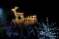 Zdobení vánočním osvětlením patří neodmyslitelně do času adventu.
