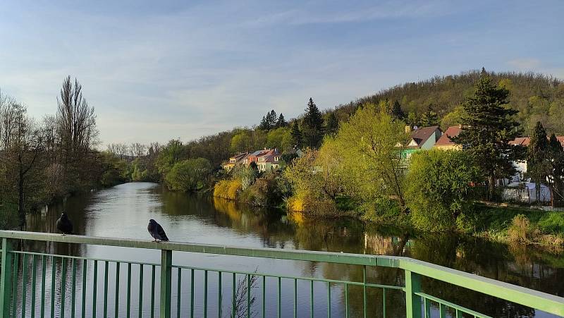 Cesta vedla od Křivé borovice po červené do Kočičího žlebu, dál k Betelné studánce a přes Rakovec k přehradě a kolem Svratky.