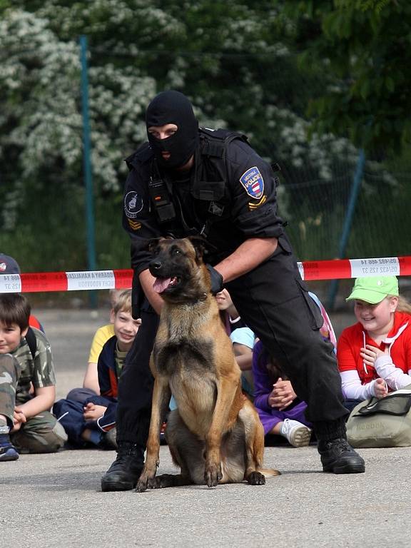 Na základní škole na Vinohradech měli akční dopoledne