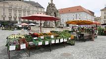 Brněnský Zelný trh po rok a půl dlouhých opravách opět zaplnily stánky s ovocem a zeleninou.