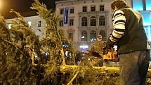 Vánoční strom na brněnském náměstí Svobody už zmizel. V pátek večer jej skáceli.