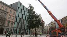 Vánoční strom, který od konce listopadu zdobil brněnské náměstí Svobody, dozářil. V pondělí odpoledne jej technici pokáceli. 