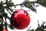 Vánoční strom na náměstí Svobody v Brně přišel  své ozdoby. 