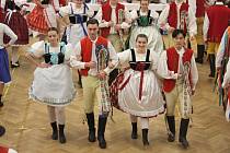 Tradiční kroje zpestřily v sobotu večer krojový vinařský ples v Moutnicích na Brněnsku.