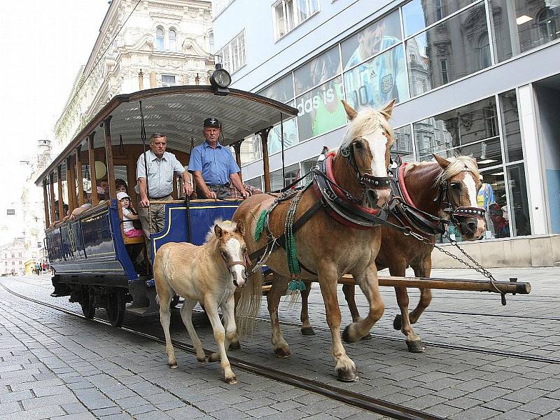 Historické tramvaje, autobusy i vlaky lákají Brňany.