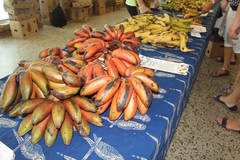 Dračí ovoce, červené banány nebo i jackfruit ochutnali v sobotu lidé v Tržnici Brno na Zelném trhu. Organizátoři akce ovoce přivezli přímo z Ugandy.