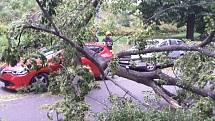 Sobotní bouřky zasáhly i jižní Moravu. Nejčastěji hasiči řeší popadané stromy.