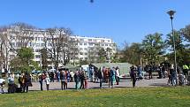 První den plošného testování v parku na Moravském náměstí přilákal stovky Brňanů.