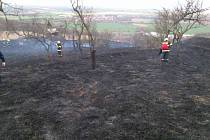 Požár trávy v Blučině na Brněnsku na ploše přibližně pěti fotbalových hřišť. Oheň poškodil ovocné stromy.
