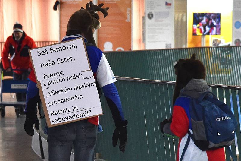 Olympijský festival v areálu brněnského výstaviště.