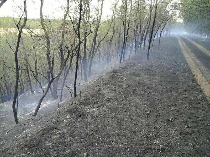 Několik desítek hektarů pole a lesa podle prvotního odhadu hasičů vzplálo v pátek odpoledne nedaleko skládky u Hrušovan u Brna. Škoda je v desítkách tisíc korun.