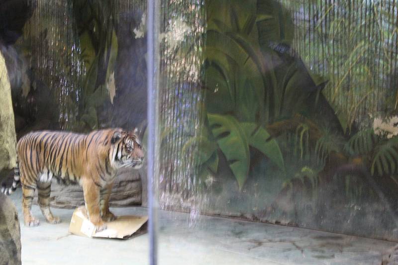 Brněnská zoologická zahrada.