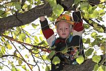 Poznávání listů nebo lezení po stromech či lanech. Ilustrační foto