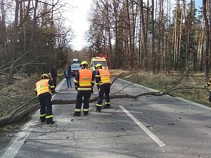 Silný vítr zaměstnal hasiče napříč jižní Moravou.