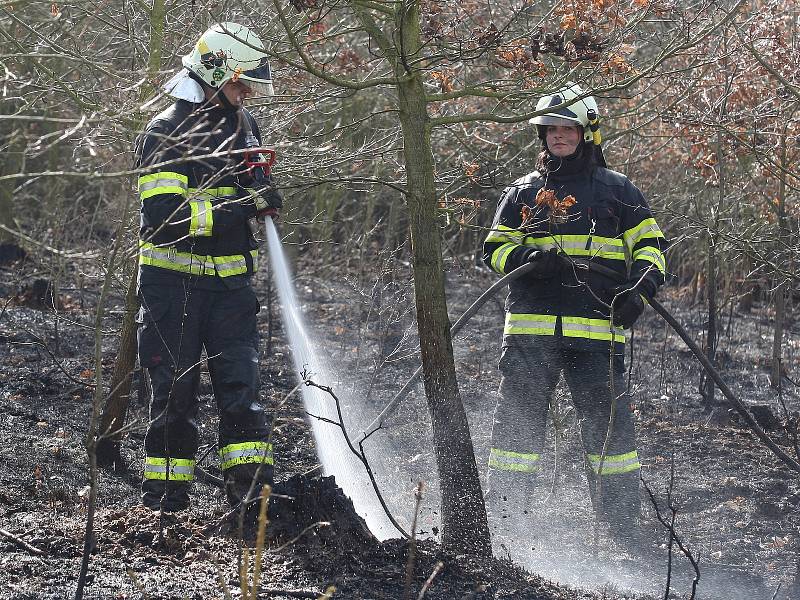 Požár lesa u Oslavan na Brněnsku.