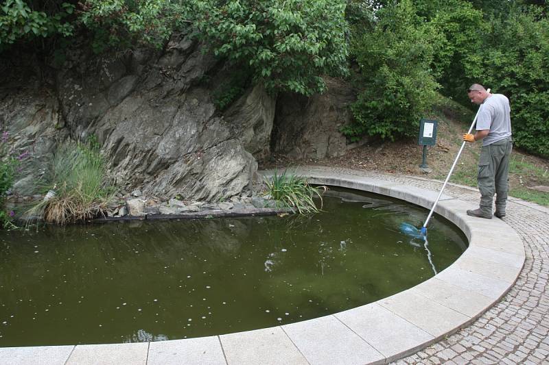 Skalní jezírko na Špilberku.