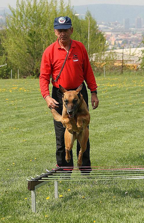Mezinárodní zkoušky záchranných psů IRO.