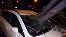 Rozlomený strom v Brně probodl čelní sklo osobního auta.