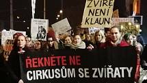 Cirkusy se zvířaty v Brně nechceme. I takto skandovali lidé ve středu večer na protestních pochodu centrem města, který začal na náměstí Svobody.