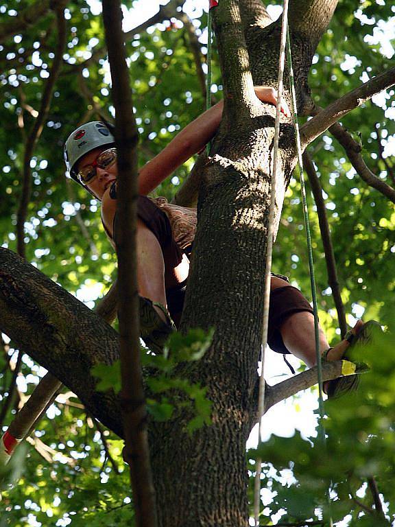 Arboristé soutěžili o titul Mistra republiky ve stromolezení.