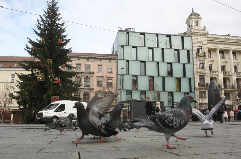 Už jen několik dní zbývá do zahájení tradičních Brněnských Vánoc. Vánoční strom se na náměstí Svobody rozsvítí v pátek.