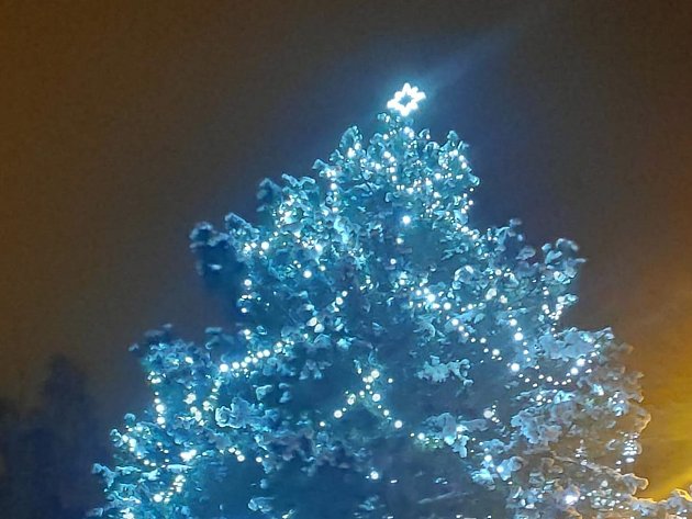 Nejhezčí vánoční strom Vysočiny? Hlasujte, soutěží i krasavec ze Žďárska