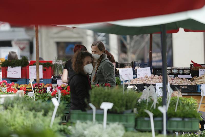 Náměstí Zelný trh opět dostálo svému jménu. Několik prodejců zeleniny a květin mohlo díky uvolněním protiepidemických opatření opět rozložit své stánky.