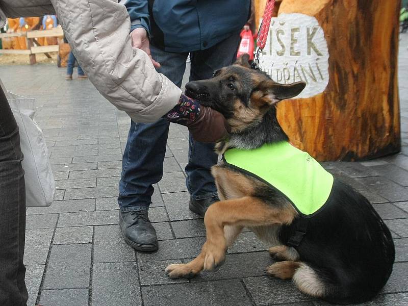 Charitativní gulášovka provoněla Brno.