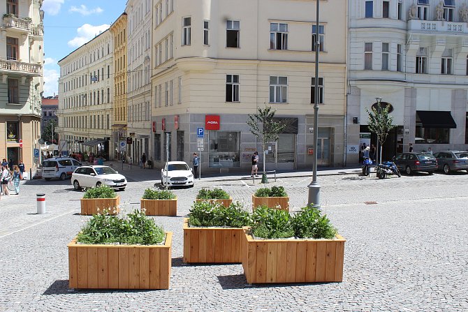 Nové truhlíky s rostlinami na Dominikánském náměstí.