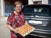 Skoro 30 tisíc slepic už veterináři utratili v chovu společnosti AG Maiwald v Pohořelicích. Pokud si tam lidé v minulých dnech vejce zakoupili, mohou je na místě vrátit nebo vyměnit za ta nezávadná.
