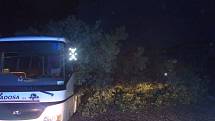 Zranění dítěte způsobila pondělní vichřice, která přišla spolu s deštěm na Brněnsko. V Zastávce poryvy větru porazily strom právě na projíždějící autobus.